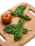 Basil Newton Seed - 5000 Raw Seed