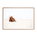 Nguni Chestnut III Art Print - A3