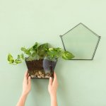 Wall Terrarium - Pentagon - Medium Excl. Plants