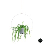 Ring Hanging Metal Planter