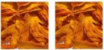 Dried Mango Strips - Choice Grade Mango