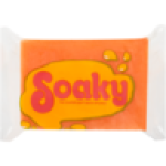 Orange Small Bath Sponge