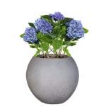Rum Plant Pot - 690 X 559 Rock