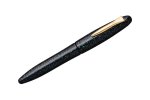 Platinum Izumo Fountain Pen Raden Galaxy