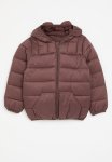PoP Candy Hooded Puffer Jacket - Burgundy