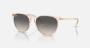 Ray Ban RB4171 Erika