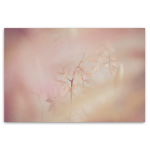 Blush Dreams 10 Art Print - A2 No Frame Print Only