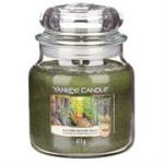 Candle Autumn Nature Walk Medium Jar Retail Box No Warranty overviewthis Gorgeous Scent Of Fresh Foliage Will Put You In An Autu