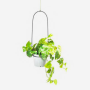 Bucket Hanging Planter - Black