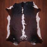 Aa Grade Nguni Hide 627 Tricolor L - Large Tricolor Panelled