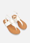 Footwork Roma Thong - White