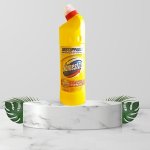 Domestos 750ML