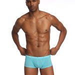Jockmail Thin Transparent Ice Silk Boxer Shorts Blue
