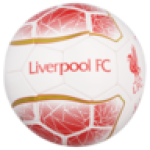Size 5 Soccer Ball