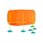Zip & Zoom Indoor Agility Kit