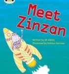 Phonics Bug Set 09 Meet Zinzan Paperback