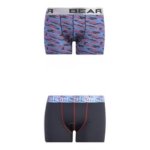 Bear Abstract Geo Print