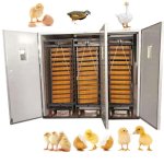 12 672 Egg Chicken Fowl Incubator