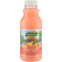 Tropical Dream Peach Flavoured Dairy Fruit Blend 500ML