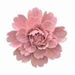Alycaso Peony Ceramic Flower Wall D Cor Artificial 3D Flower Wall Art For Living Room Home Hallway Bedroom Kitchen Farmhouse Bat