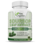 - Soursop Leaf Extract- Healthy Cell Function - 60 Veggie Caps