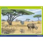 Platinum Libanga R Iphosta 9 Tilwane Tasendle Grade R Zulu Poster