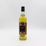 Slojo Agave – Organic Syrup 1883 1L