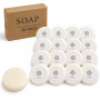 Luxury MINI Soap Boxed White Tubes 30G 20