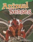 Animal Senses Paperback