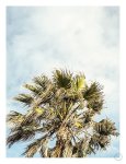 Breezy Art Print - A3