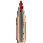 30 Cal .308 180GR Sst X100