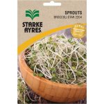 Broccoli Star Sprout Seeds