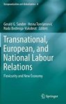Transnational European And National Labour Relations - Flexicurity And New Economy Hardcover 1ST Ed. 2018