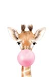 Bubble Gum Giraffe Pink - Canvas Print - 600MM X 600MM