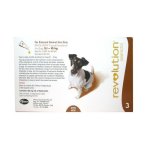 - Dog - Brown Box 5.1 To 10KG