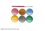 Metallic Face Paint Kit With Brush