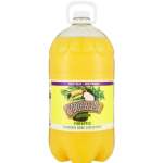 Caribbean Pineapple Flavoured Drink Concentrate 5LT