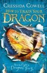 How To Train Your Dragon: How To Fight A Dragons Fury : Book 12