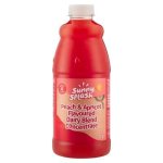 Sunny Splash Peach & Apricot Flavoured Dairy Blend Concentrate 1L