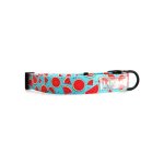 Dog Collar Melon-dramatic - Small