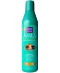 Dark & Lovely Amla Legend Damage Anti-dote Oil Moistur - 250ML