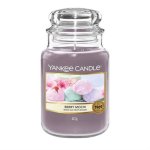 Candle Berry Mochi Large Jar