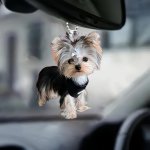 Acrylic Yorkshire Terrier Dog Hanging Ornament For Car Rearview Mirror Backpack Keychain Accessory - Versatile Decorative Charm
