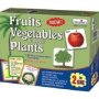 Creative& 39 S Fruits Vegetables & Their Plants 2 In 1