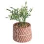 Artificial Plant In Cement Pot Terracotta 16CM