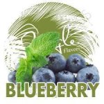 Blueberry Concentrate - 10ML