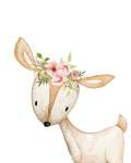 Floral Boho Deer - Canvas Print - 600MM X 600MM