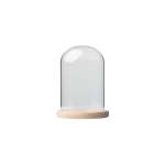 Glass Dome With Pine Base - 12X20CM