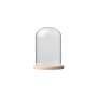 Glass Dome With Pine Base - 12X20CM
