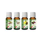 Make Up Removal | CARRIER OILS MINI Collection
